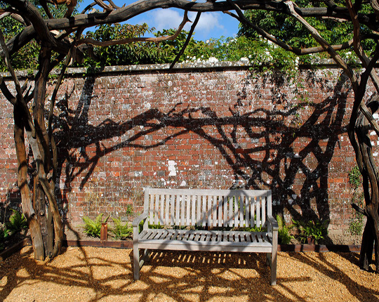 Martha Freud Design Pergola