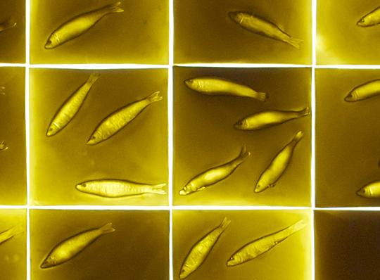 Martha Freud Exhibition Photography