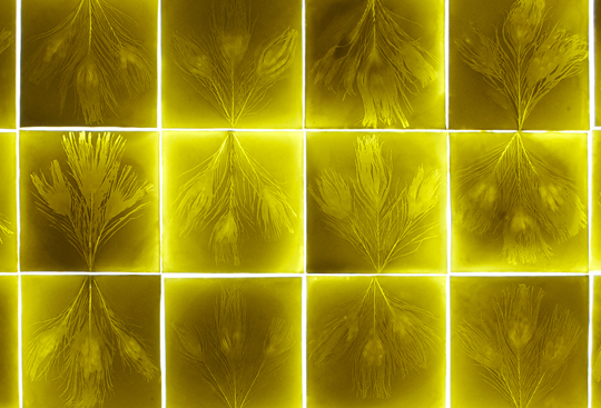 Martha Freud Exhibition Photography