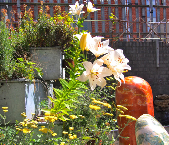 Studio Garden