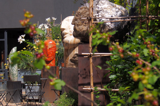 Studio Garden